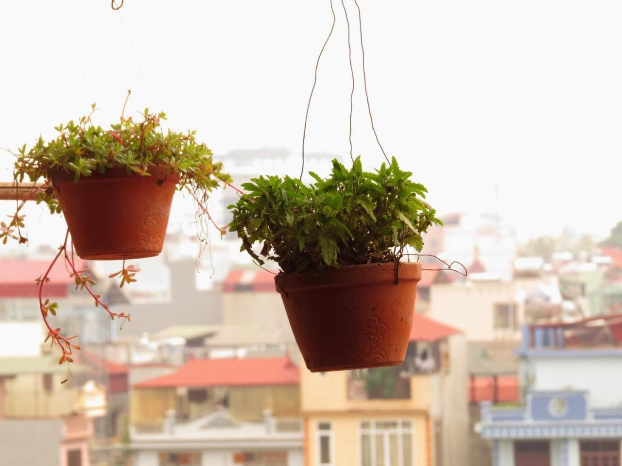 Capsule Hanoi Hostel Εξωτερικό φωτογραφία